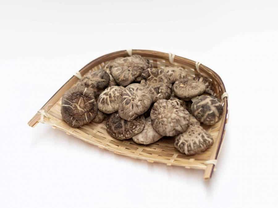 Dried Tea Flower Mushroom