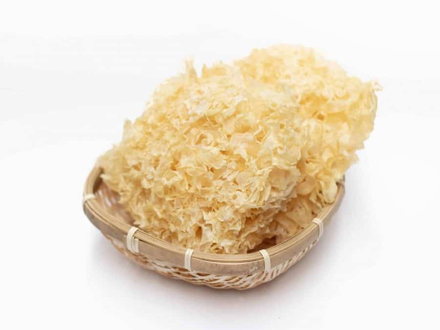 White Fungus