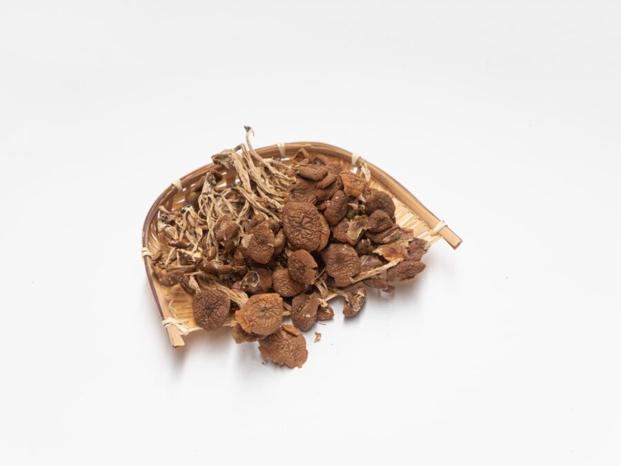 Dried Tea Tree Mushroom