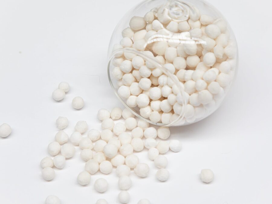 White Pearl Sago (Big)