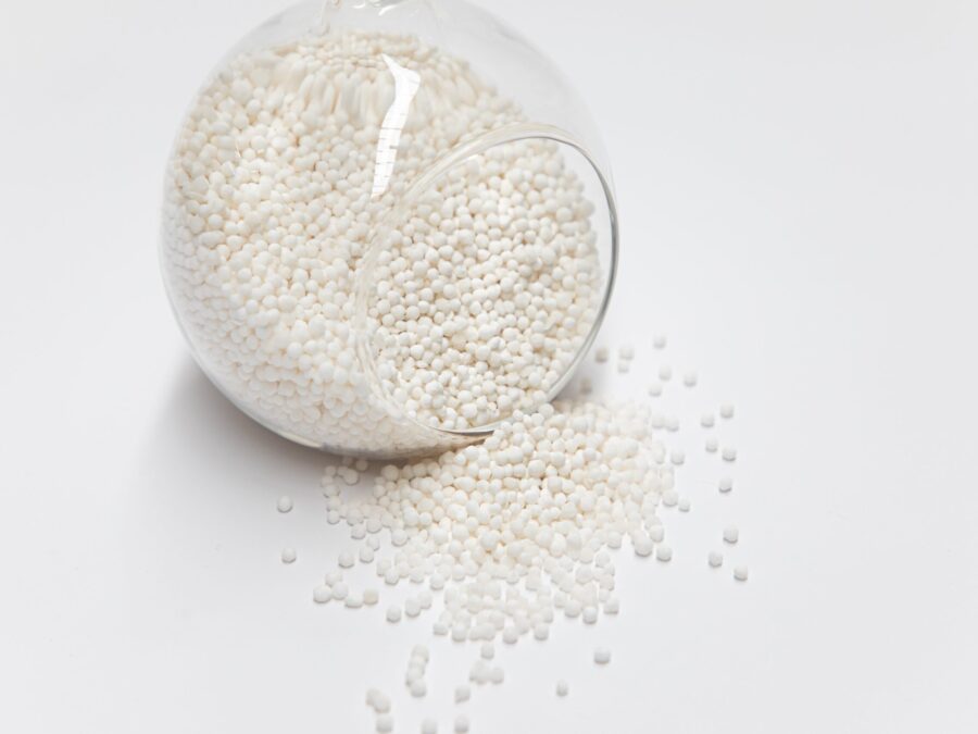 White Pearl Sago (Small)